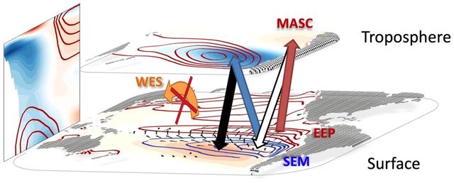 单半球倾斜风—蒸发—海温反馈机制示意图