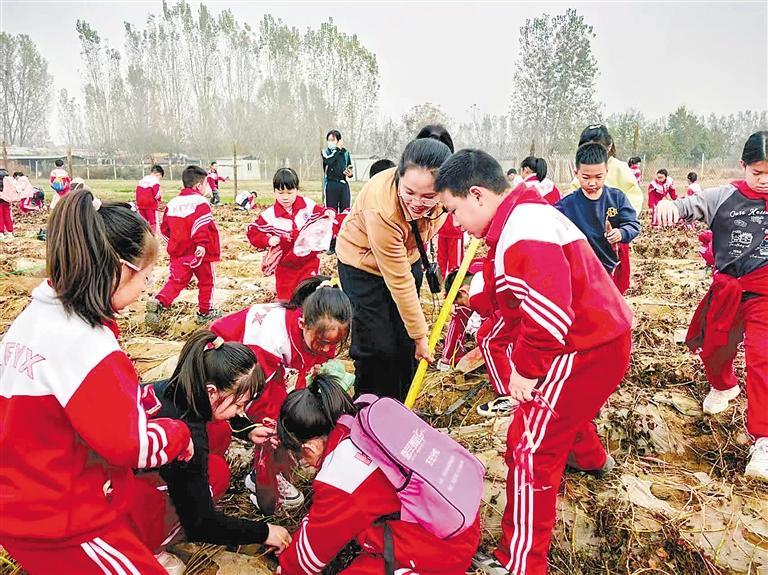 ◀图为学生们正在参与农业劳作。 本报记者 罗昀 本报通讯员 刘晴 王圣洁 张梓琪 摄