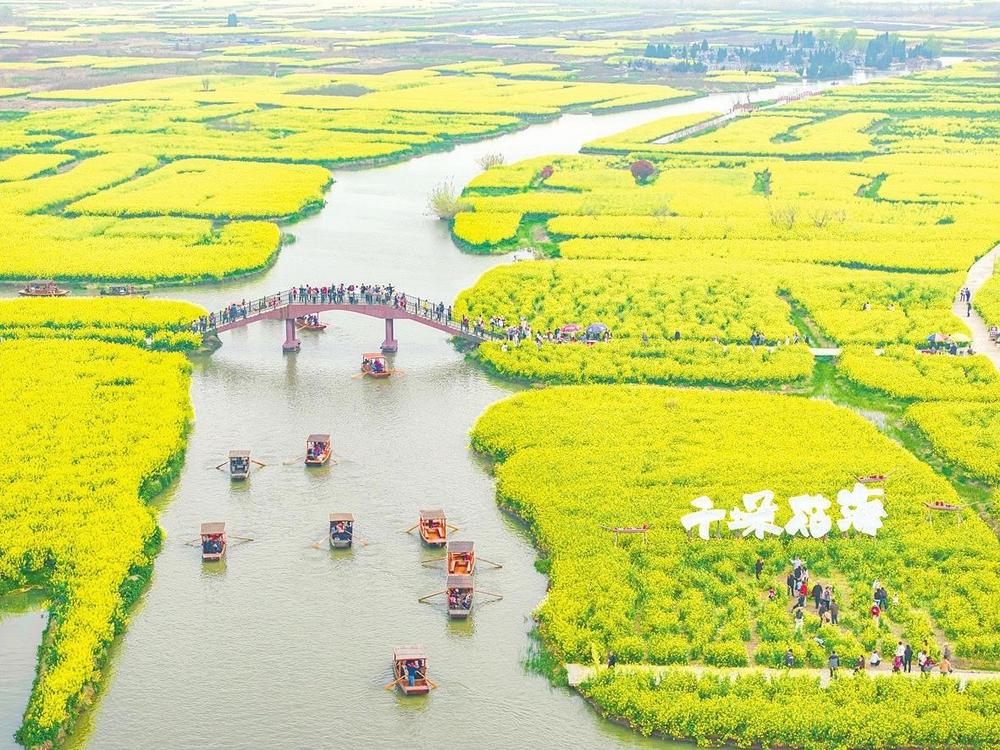 4月4日，游客在江苏兴化千垛景区踏青赏花（无人机照片）。清明小长假，人们走出家门，踏青游玩。新华社发（顾继红 摄）