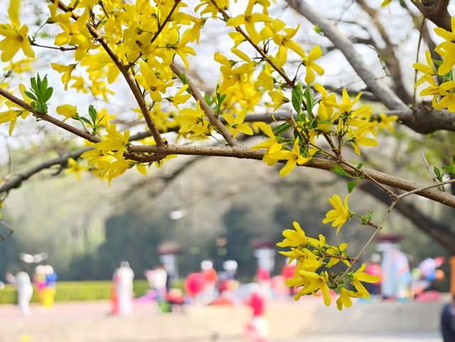 来源：北京日报客户端
