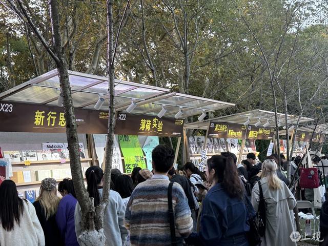 草地上的“小红书文学节”，图书市集人头攒动。施晨露摄