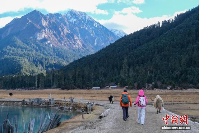 2025年11月9日清晨，徒步爱好者在林芝巴松措以东30公里的新措体验高原徒步。江飞波 摄