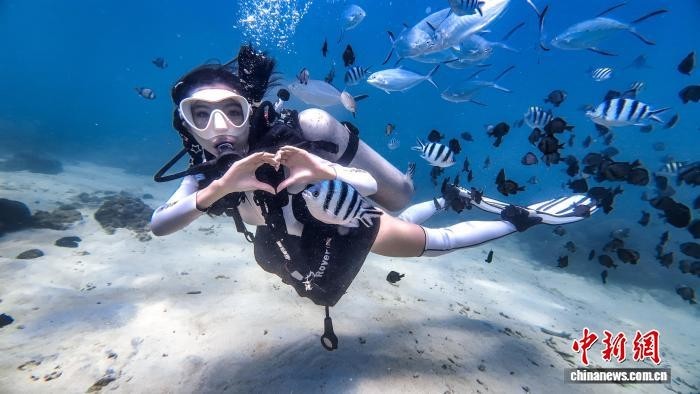 图为游客在三亚蜈支洲岛旅游区潜水。 (三亚蜈支洲岛旅游区 供图)