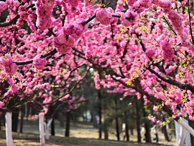 来源：北京日报客户端