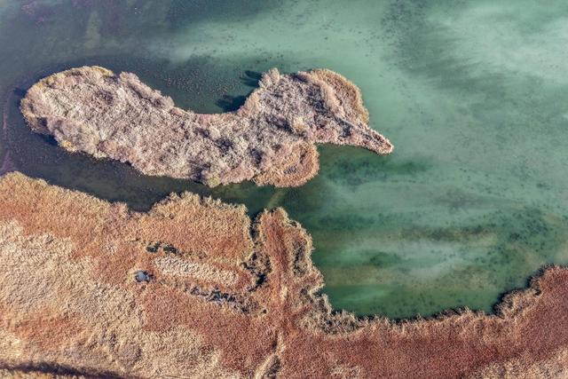 这是11月12日在河西走廊中部的张掖黑河湿地国家级自然保护区高台段拍摄的一处湖泊（无人机照片）。新华社记者 郎兵兵 摄