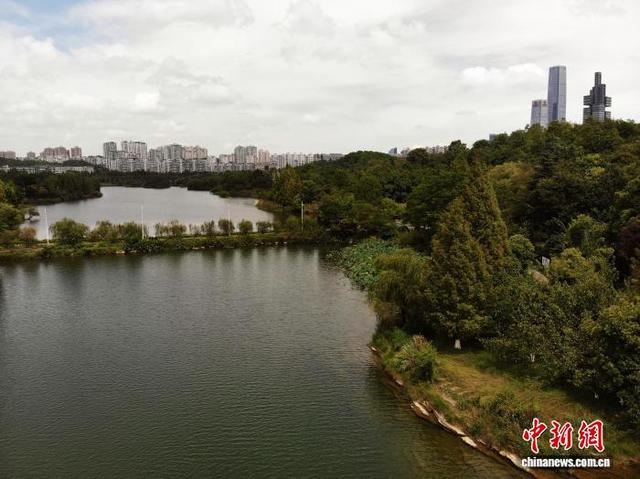 图为9月17日，航拍贵阳市观山湖公园秋景。(无人机照片)石小杰 摄