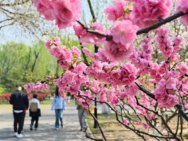 来源：北京日报客户端