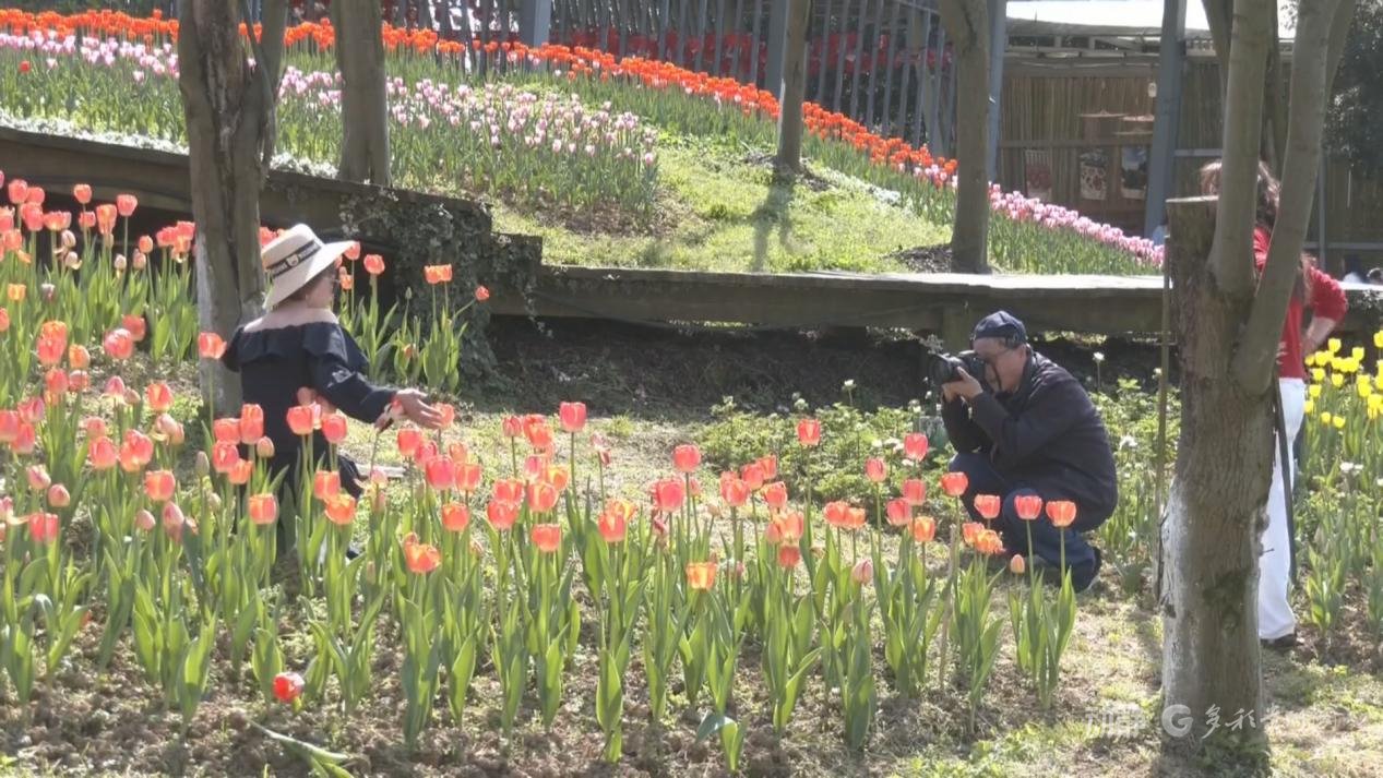 　　来源：贵阳融媒　岳宏贵　张靖宇