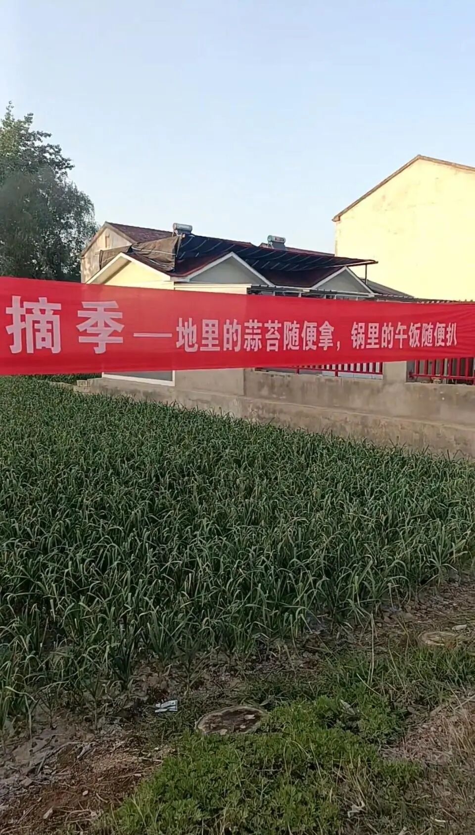 图源：潇湘晨报