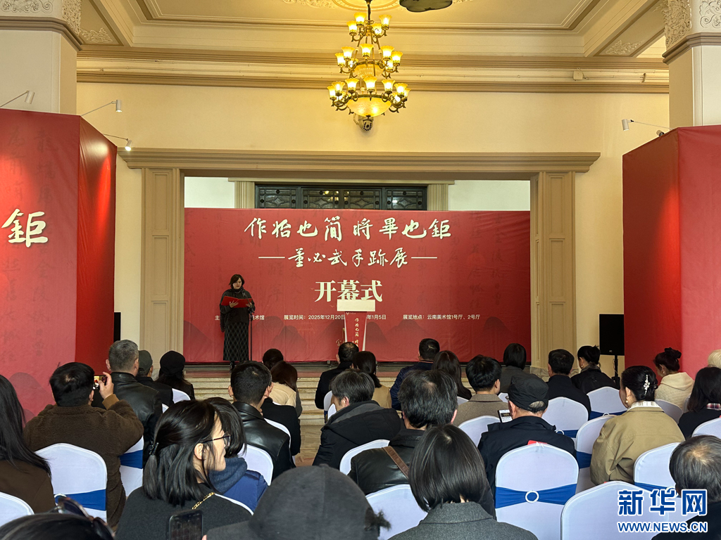 开幕式现场（12月20日摄）。新华网发（王梓如 摄）