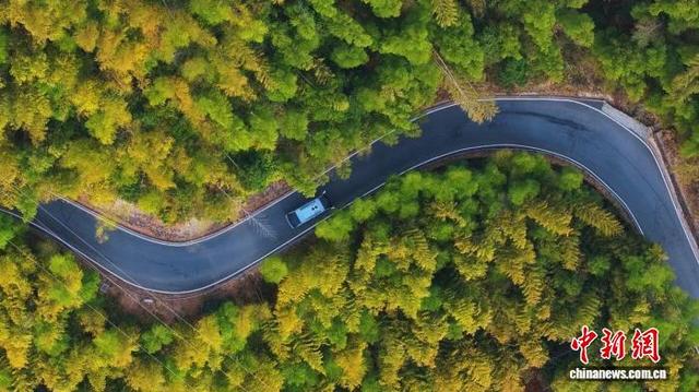 无人驾驶小巴开往陈家铺村。 陈雅芳 供图