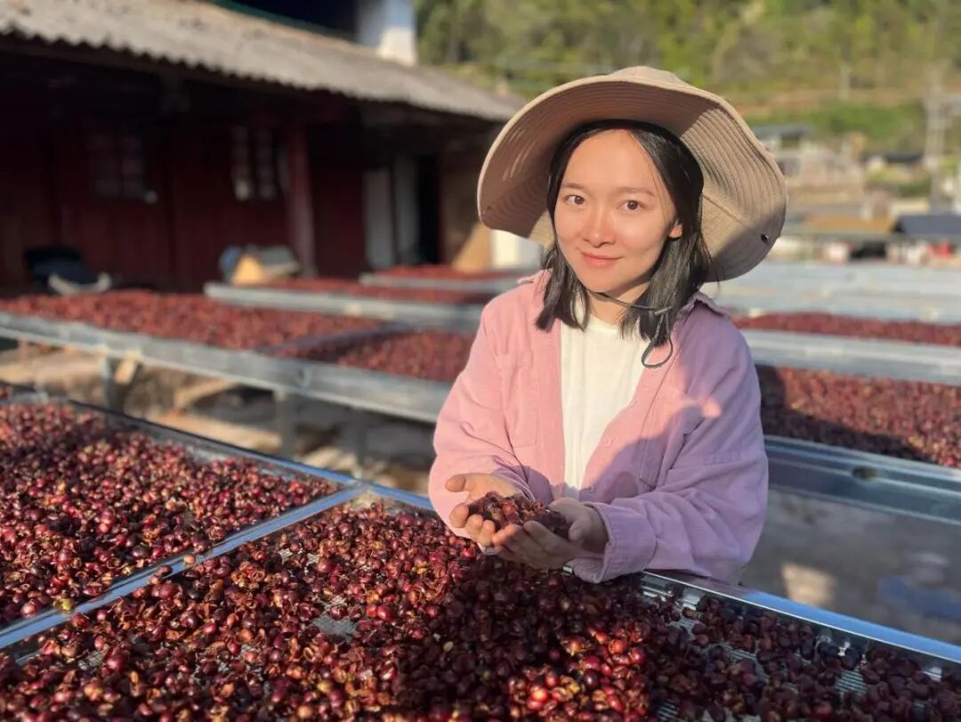 2026年2月，陈宇欣在云南省普洱市宁洱县普义乡端金村与本地咖农合作共建生豆处理站。（供图） 