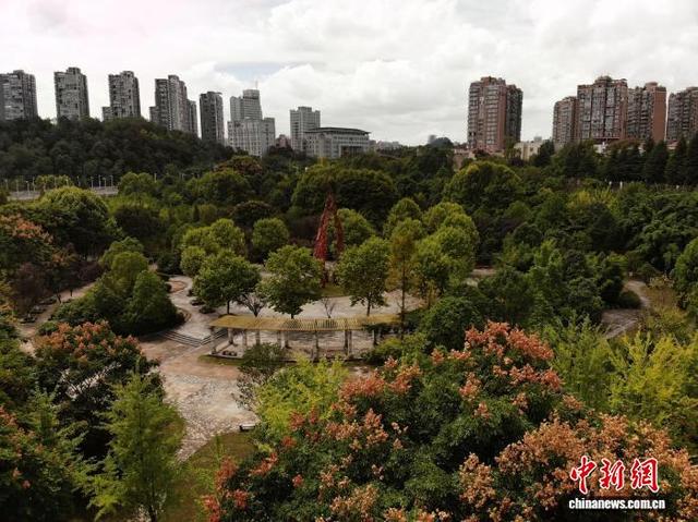 图为9月17日，航拍贵阳市观山湖公园秋景。(无人机照片)石小杰 摄
