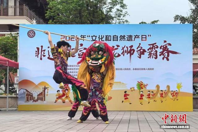 6月13日，福建永春县举办“文化和自然遗产日”非遗主题宣传暨龙狮争霸赛活动。图为青狮比赛现场。中新网记者 孙虹 摄