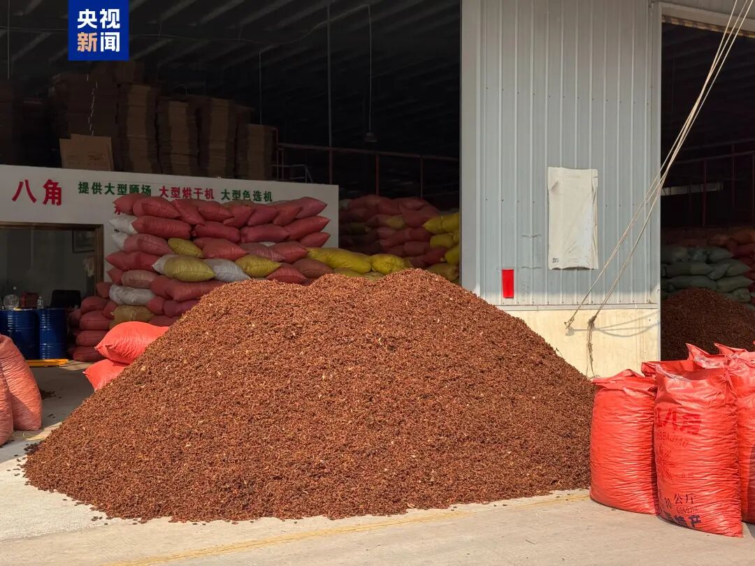 △桂通香料孵化基地一商户店铺前堆放的八角 摄影 管昕