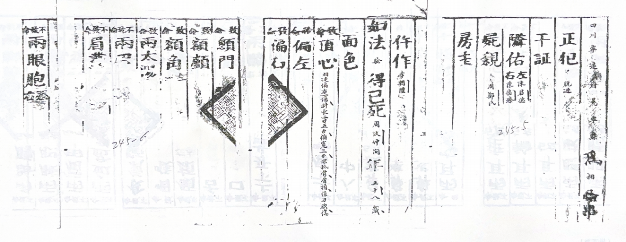 图一 冕宁县县衙为相验已死周汶仲尸身事验尸图格