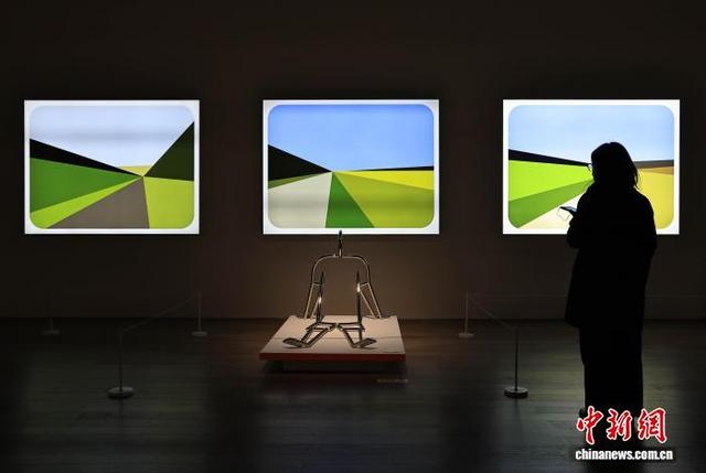 2月8日， 四川成都，参观者观看朱利安·奥培的装置作品《景观》。中新社记者 王磊 摄