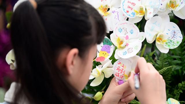 小朋友正在蝴蝶兰上作画。新华社记者 阮帅 摄