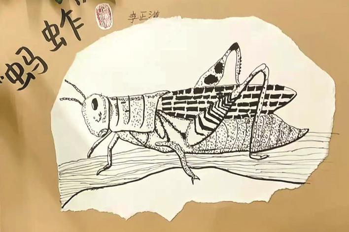 　　N桐乡市凤鸣小学205班 李正浩