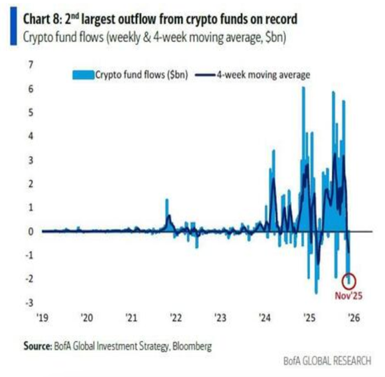 风险提示及免责条款