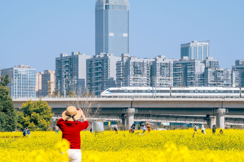 游客在四川省成都市的花海里拍摄成宜高速铁路。新华社发（韩旭刚 摄）