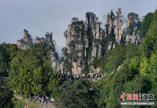 10月5日，国庆假期的第五天，湖南张家界国家森林公园天子山景区，峰起云间的秋日胜景惊艳八方游客。吴勇兵 摄