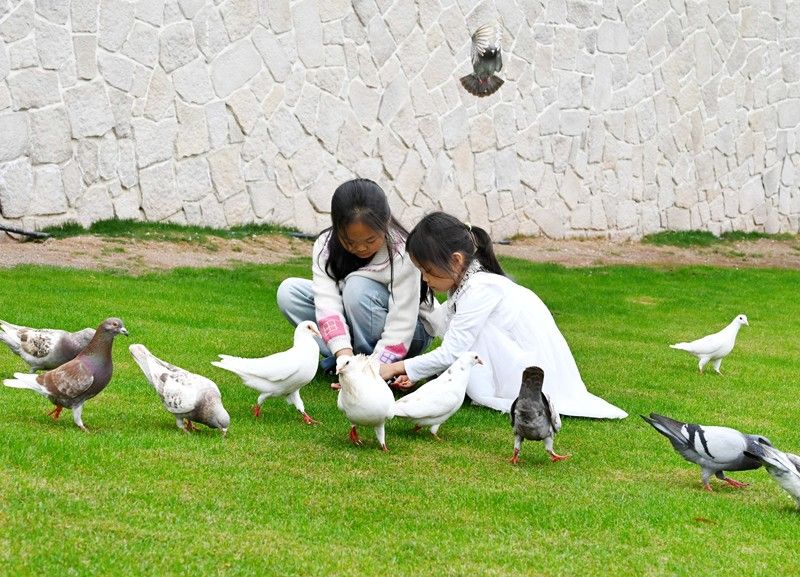 责任编辑：胡庆章