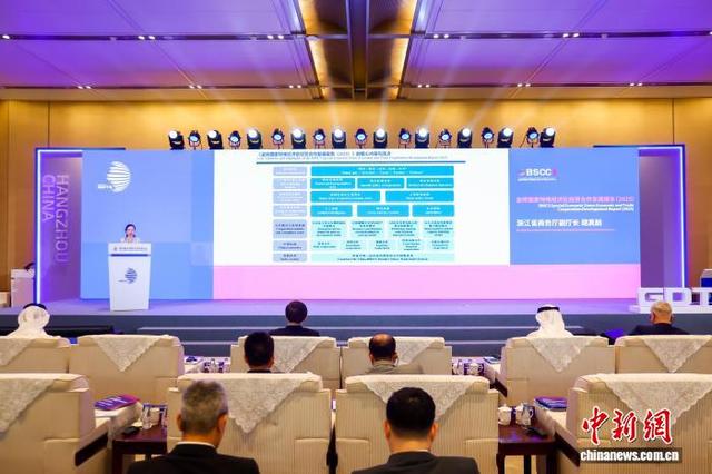 《金砖国家特殊经济区经贸合作发展报告(2025)——合作动向、中国实践与未来路径》发布现场。主办方 供图