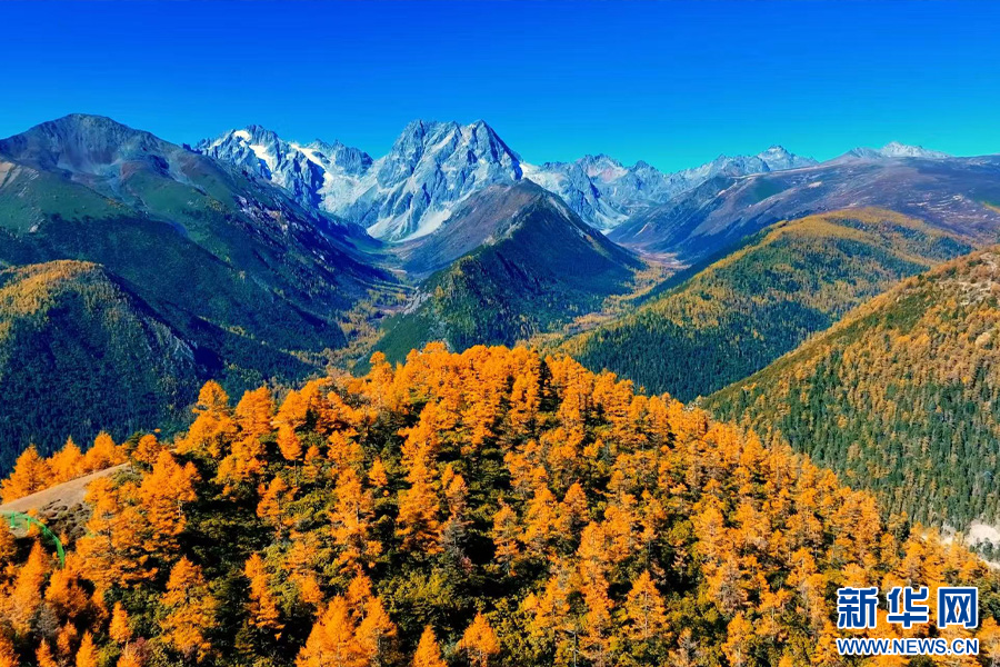 德钦县山岭秋色（10月22日摄）。新华网发（李春雷 摄）