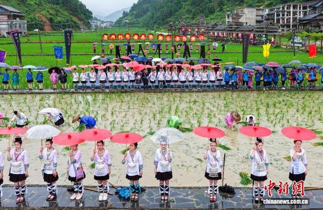 图为“关秧门”民俗活动现场。尹刚 摄