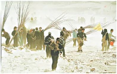 千余名晚报读者赴丰宁植树。张风 摄