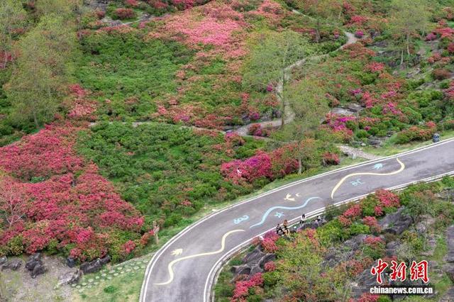 4月19日，游客在重庆酉阳叠石花谷赏花游玩。（无人机照片）中新社记者 何蓬磊 摄