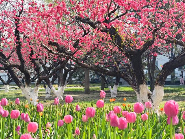 来源：北京日报客户端