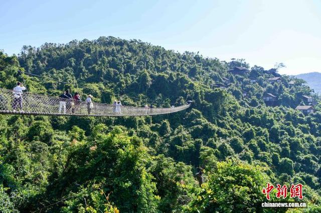 11月14日，初冬的海南三亚暖意依旧，绿意盎然，中外游客在亚龙湾热带天堂森林旅游区游览。中新网记者 骆云飞 摄