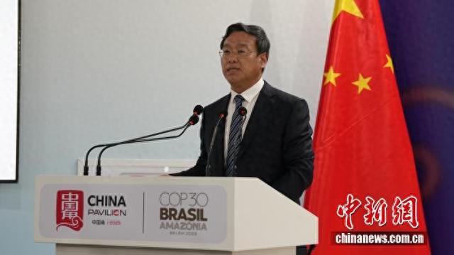 图为山东玲珑轮胎股份有限公司董事长王锋进行主题发言。中国新闻网记者 林勐男 摄