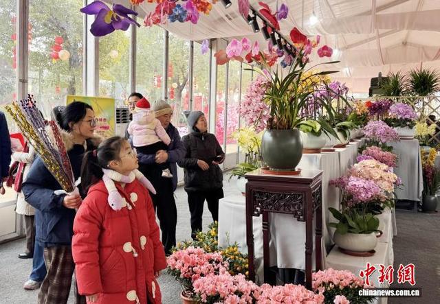 民众举家出行，前来赏花购花。 崔佳明 摄