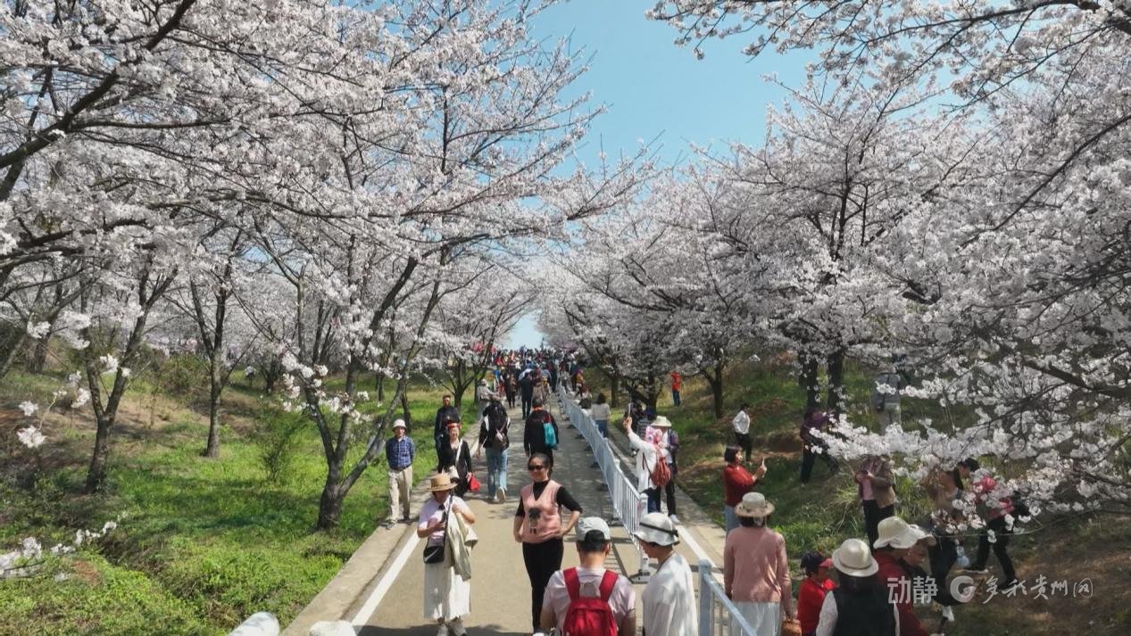 来源:贵阳融媒 岳宏贵 张靖宇