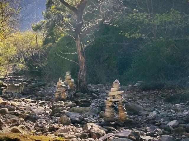 展览现场。主办方供图