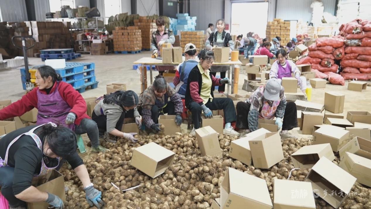 贵州多米电子商务有限公司法人曹姗