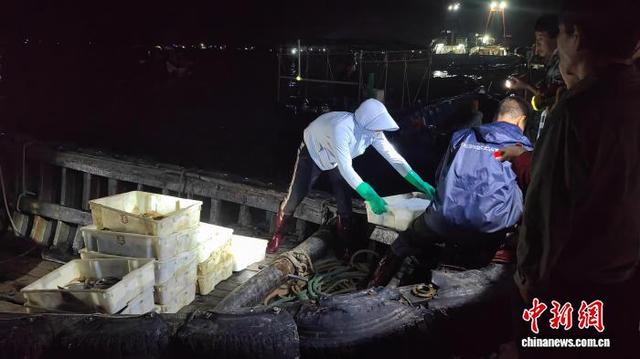 图为顾客在等候海产品离船上岸。中新社记者 梁盛 摄