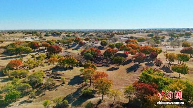 图为乌斯吐自然保护区。于明 摄