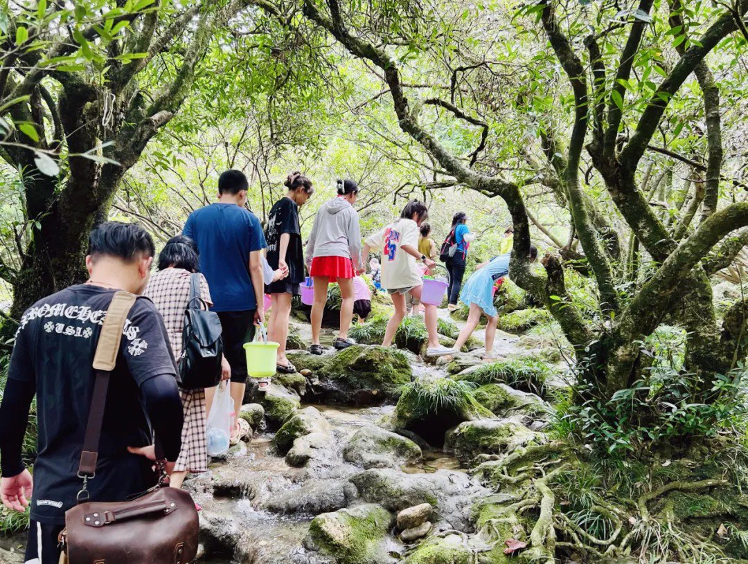 图源：荔波茂兰旅游景区