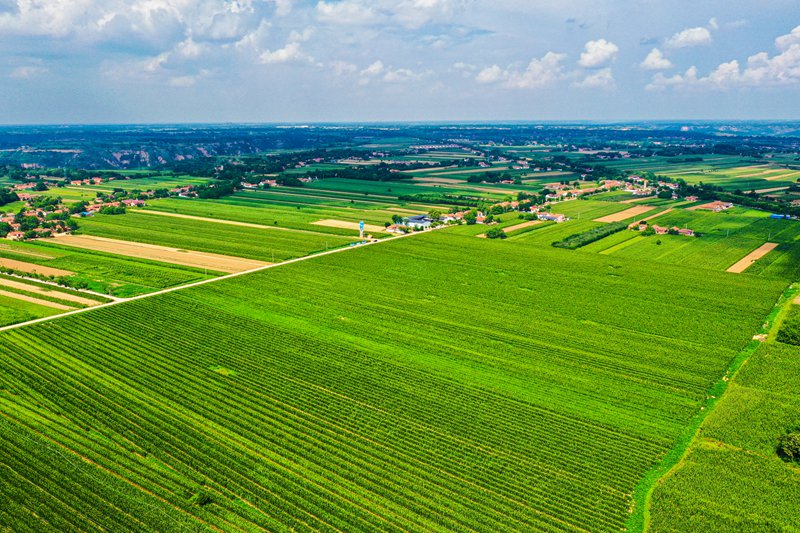 8月4日，宁县中村镇万亩粮食产业高效示范区俯瞰。俄少飞/摄