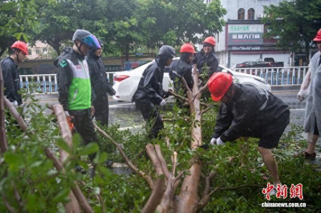 10月6日，工作人员在北海清理倒在路上的树木。翟李强 摄