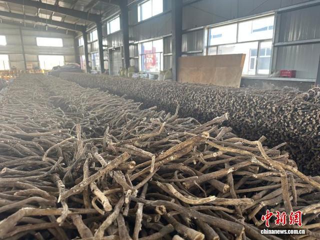 图为放在厂房的黄芪。刘小红摄