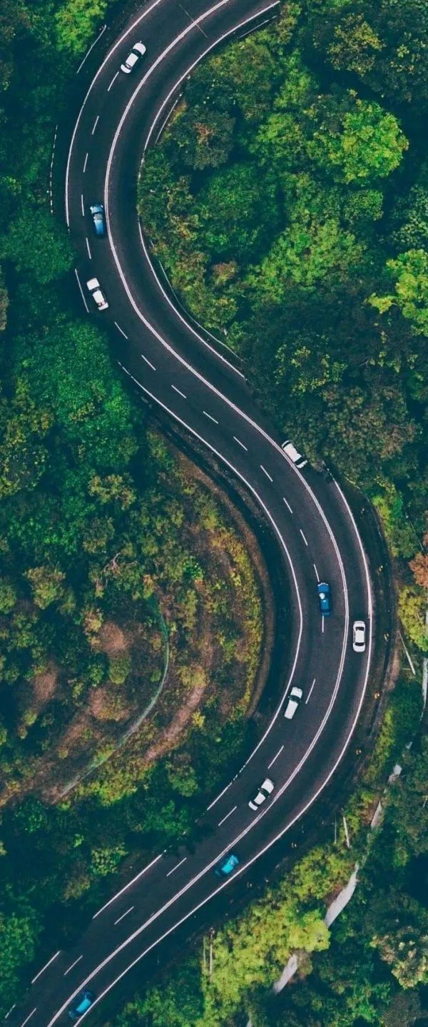 图源：荔波茂兰旅游
