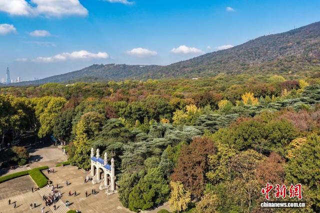 11月12日，民众走进南京中山陵参观。当日是孙中山先生诞辰159周年纪念日。(无人机照片)中新社记者 泱波 摄