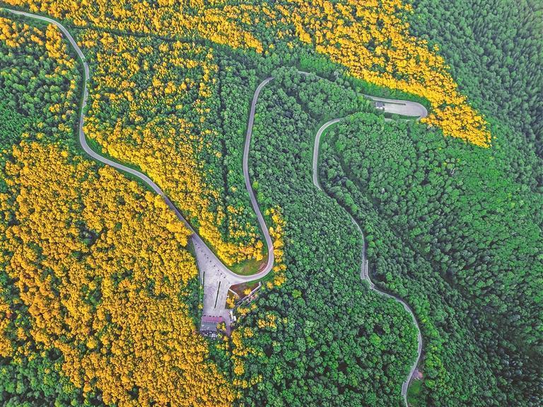 鹤岗丰富的资源禀赋，为当地康养旅游产业赋能。图片由鹤岗市文体广电和旅游局提供