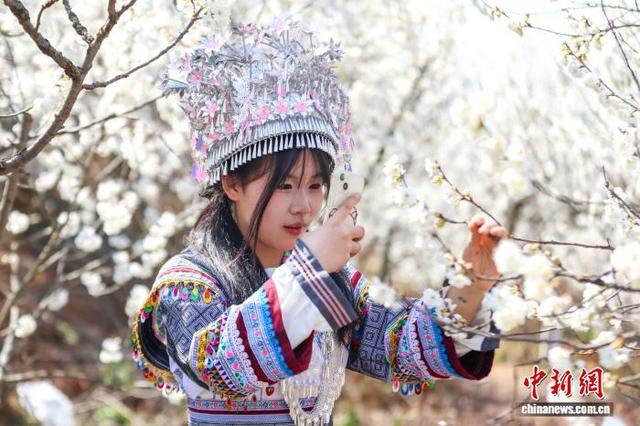 图为2月21日，游客在贵州省毕节市纳雍县厍东关乡游玩赏花。李华 摄