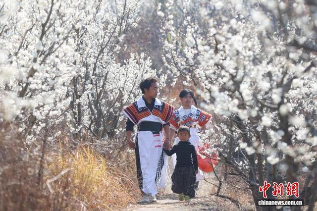 图为2月21日，游客在贵州省毕节市纳雍县厍东关乡游玩赏花。李华 摄